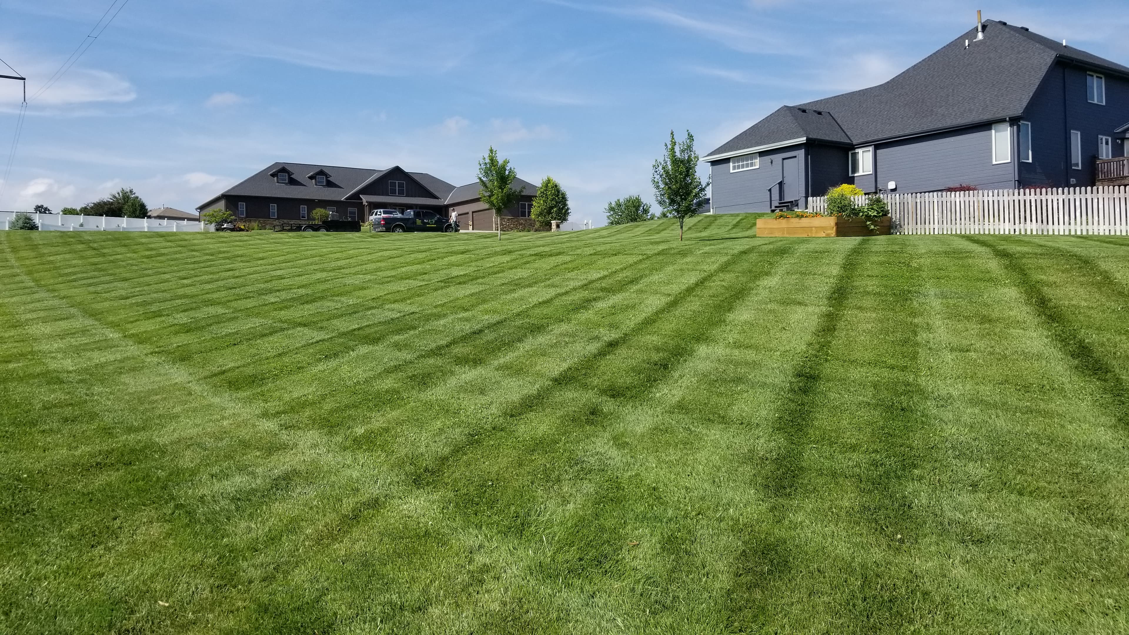 Core aeration plugs on a lawn in Bellevue, NE during BAM Lawns aeration and overseeding service