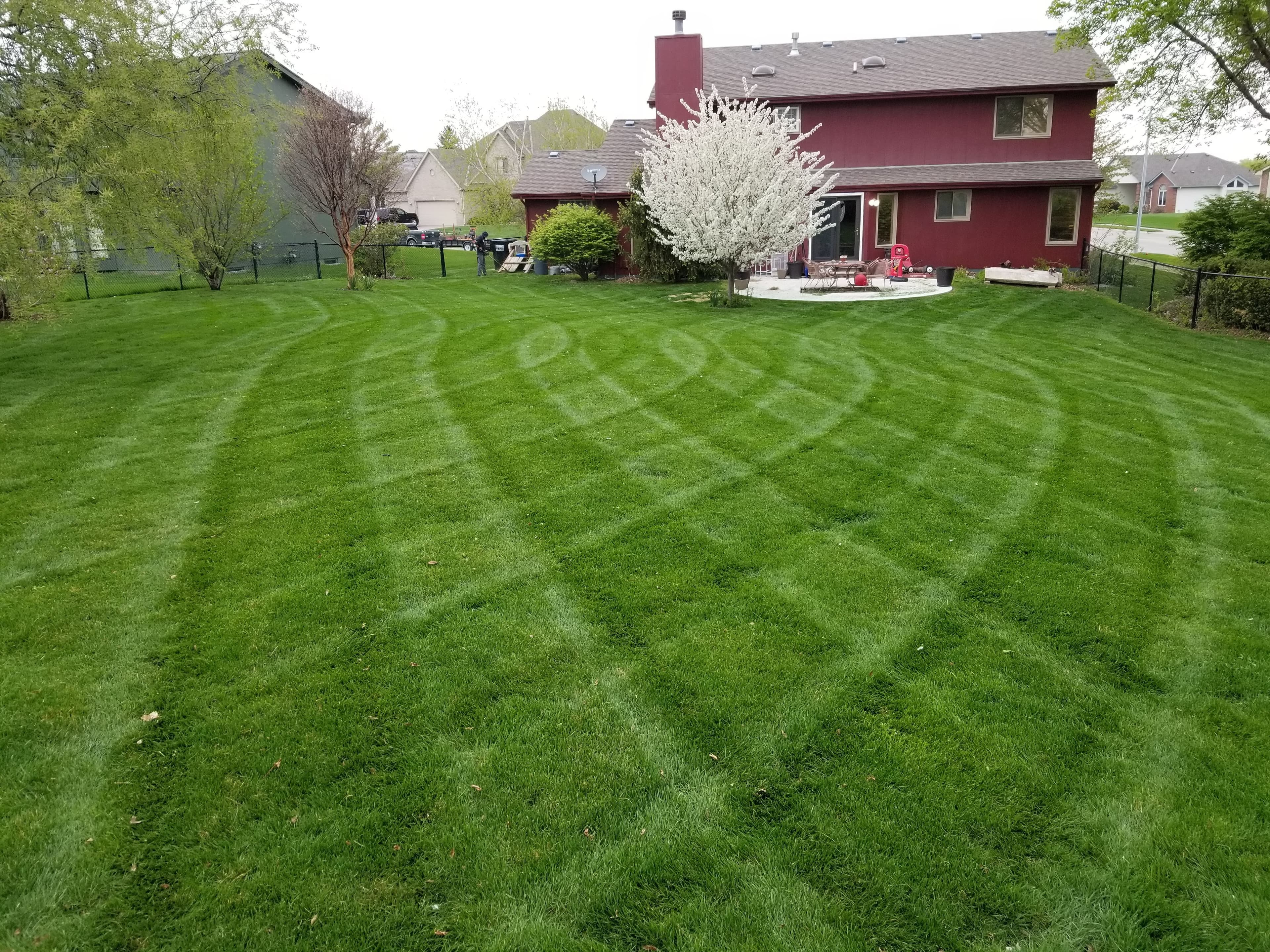 Freshly mowed lawn with clean stripes and edges in Bellevue, NE by BAM Lawns