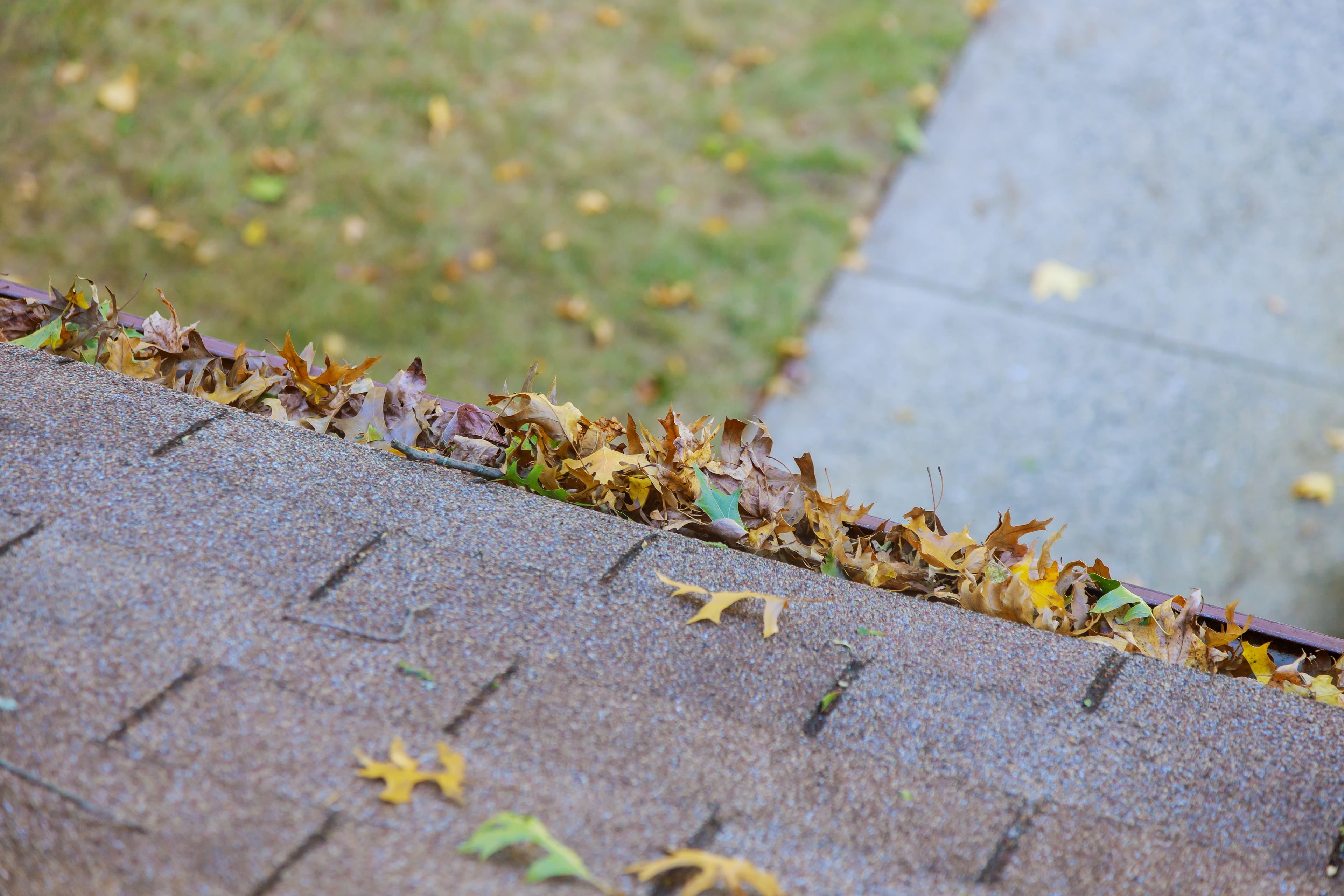 Gutter filled with leaves and debris before a BAM Lawns clean-out in Bellevue, NE