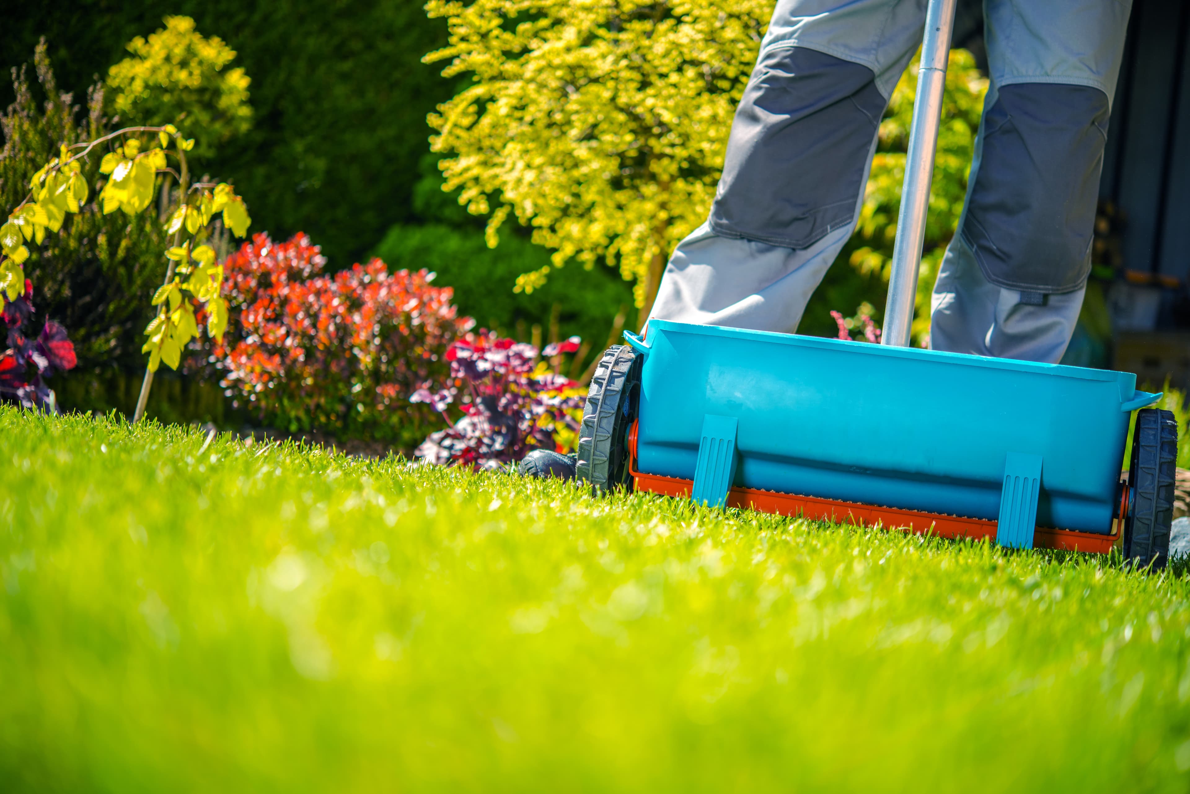 Spring fertilizer application on a green lawn in Sarpy County, NE by BAM Lawns